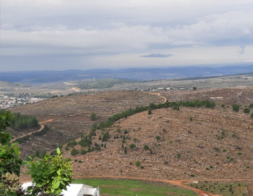פעילות ילדים367_20210411163816.397.jpg
